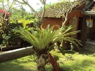 Loka House Hotel